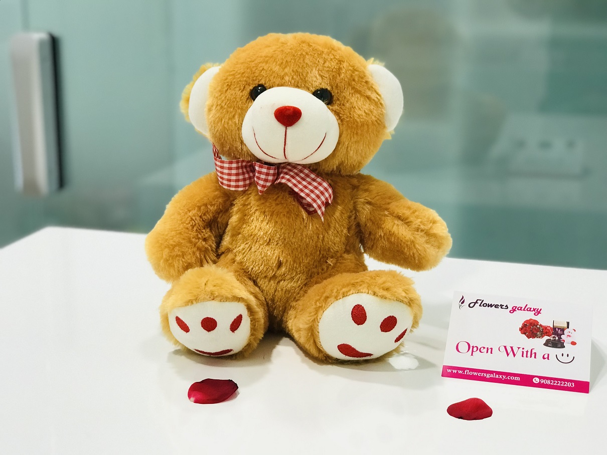 Cutest Teddy